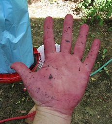 Hand o Purple_1_small