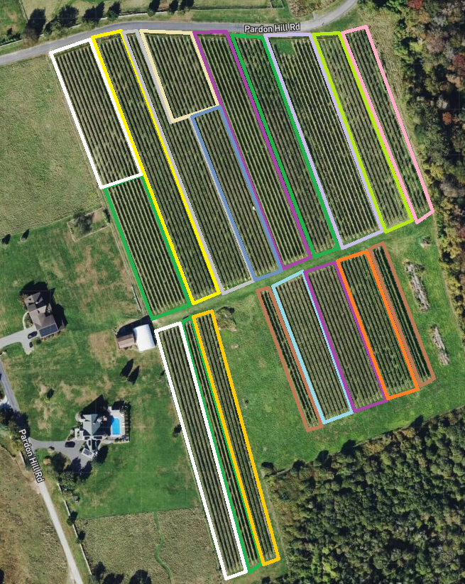 Coastal Vineyards